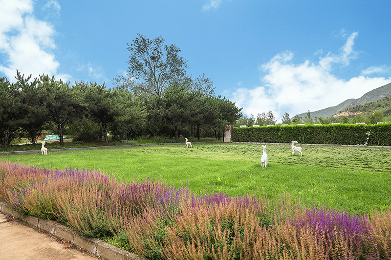 如何挑选墓地？