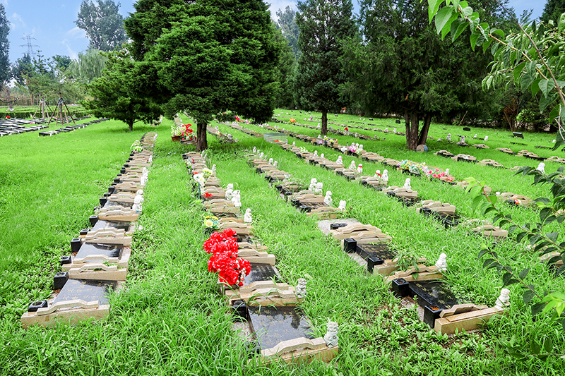 办理生态葬需要排队吗？有哪些流程？