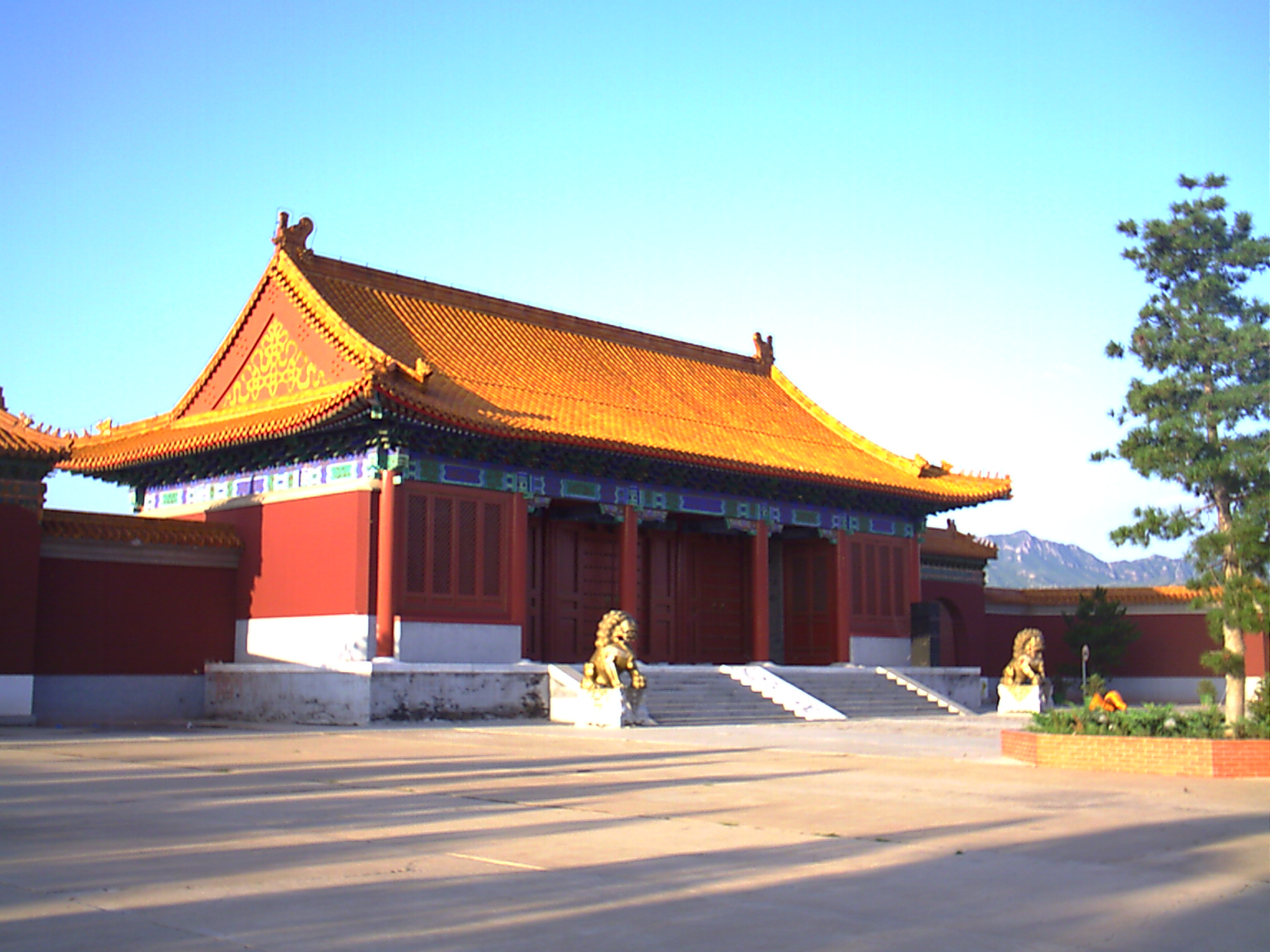 ASF_0A010 (20).JPG