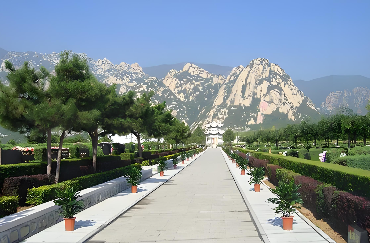 长安园骨灰林：京西的生命纪念绿洲