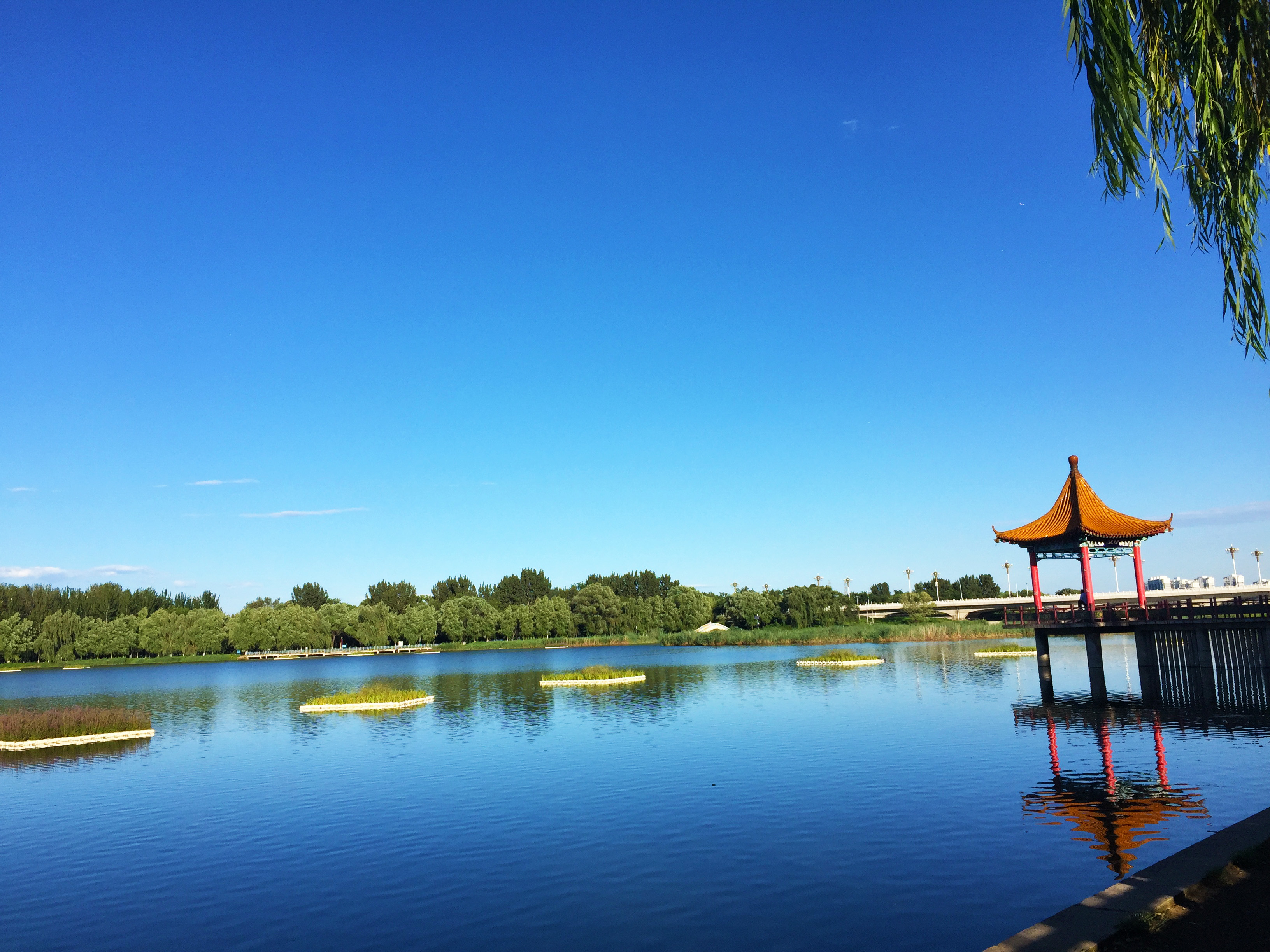 潮白陵园电话是多少？环境优美的安息之所 