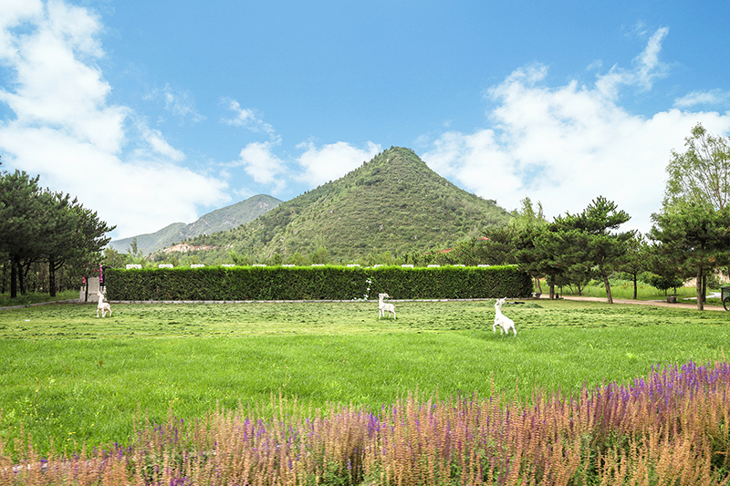 八达岭人民公墓在哪？一文了解具体位置与交通优势