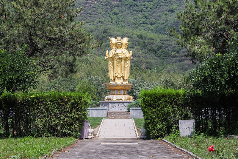 凤凰山陵园环境怎么样？环山抱翠间的安息佳处