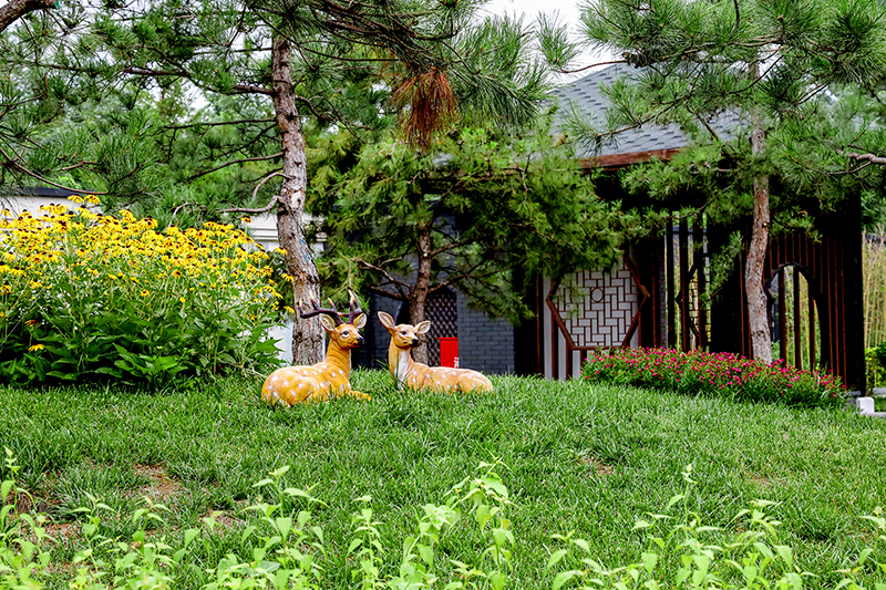 长青园骨灰林在哪？京城东南交通便捷的安息地