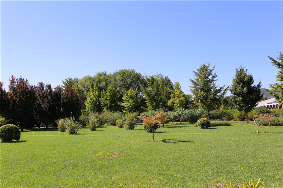 万安公墓环境大揭秘：静谧陵园的独特魅力