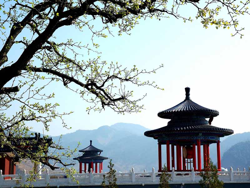 清东陵万佛园环境如何？