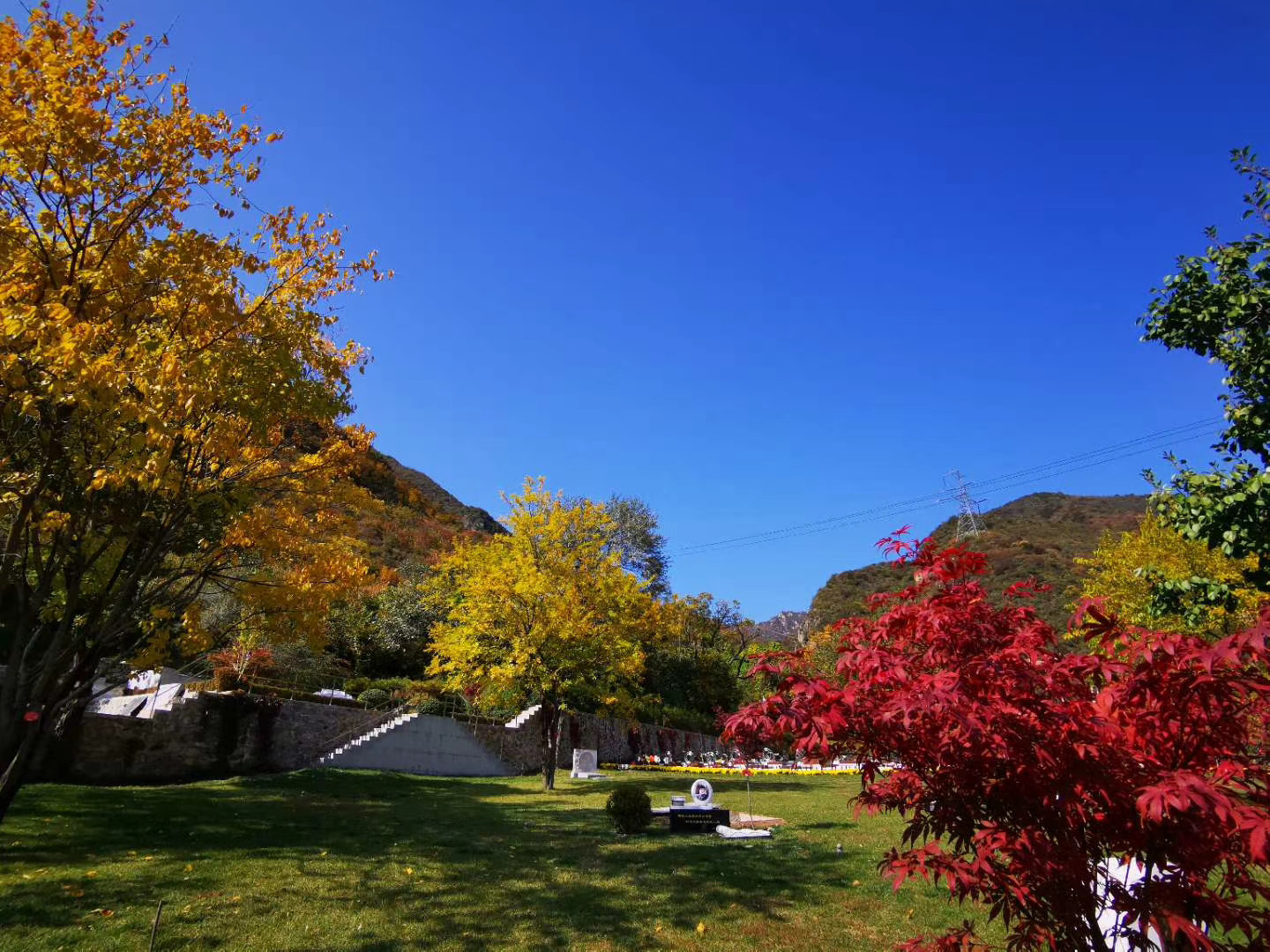 九公山长城纪念林环境如何？自然与人文交织的生命绿洲