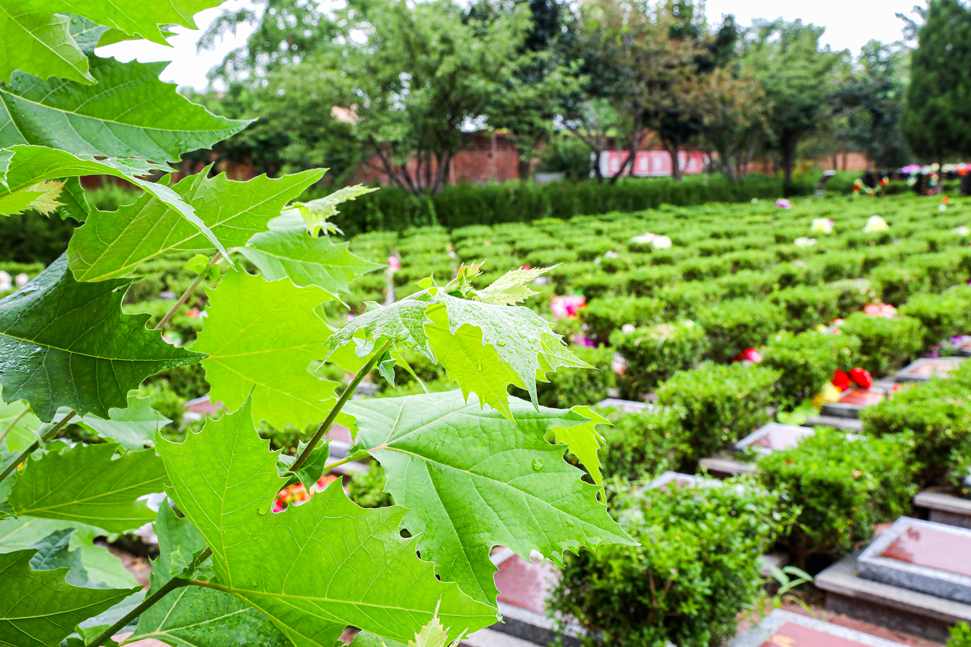 北京天堂公墓环境怎么样？