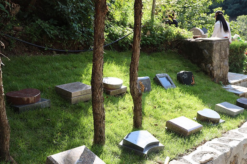 北京树葬：让生命在绿荫中延续，回归自然的生态安葬新选择