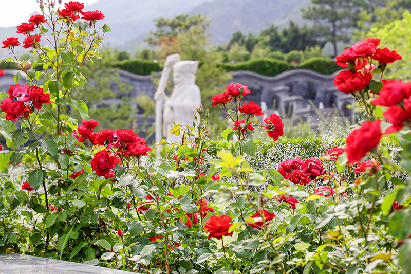 北京天寿陵园：一座融于自然的生命公园